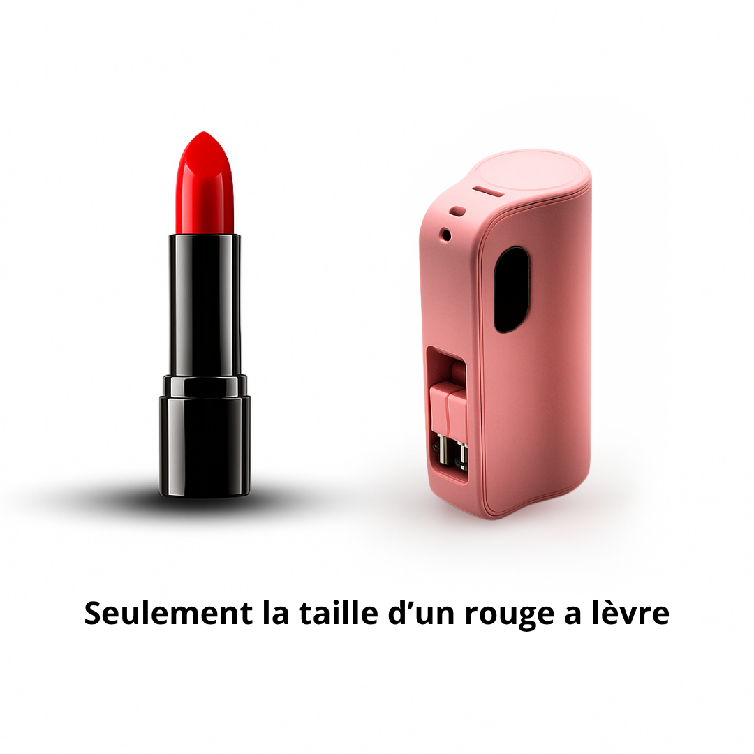 BATTERIE EXTERNE 2-EN-1