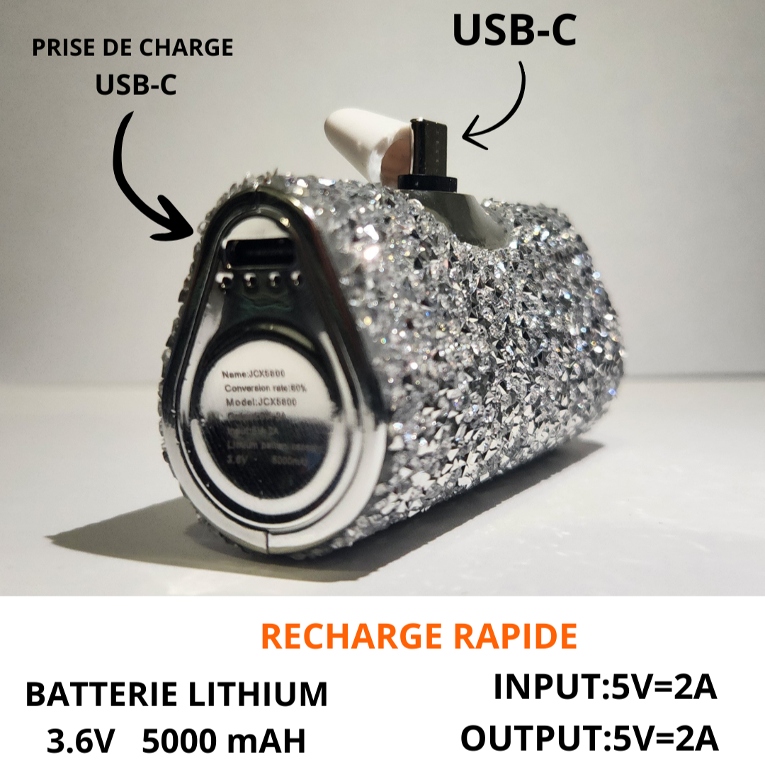 BATTERIE EXTERNE + CABLE USB-C/USB-C