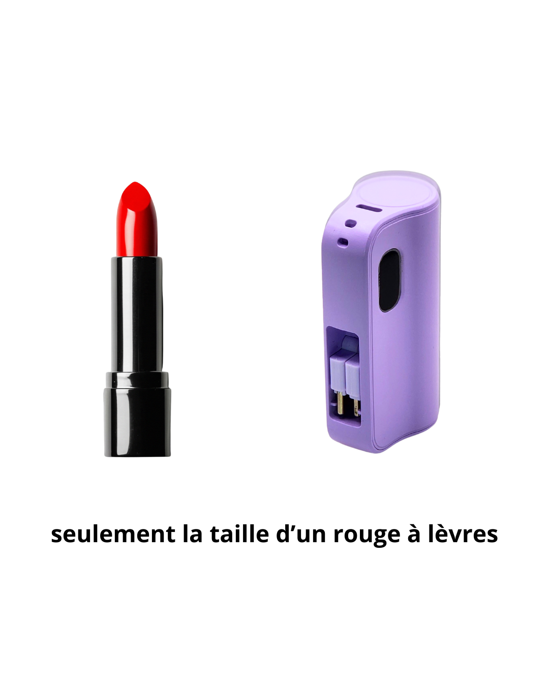 VIOLET 2-EN-1